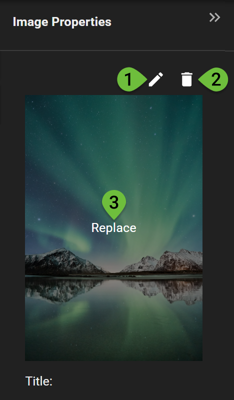 Edit, delete, and replace icons above the selected image